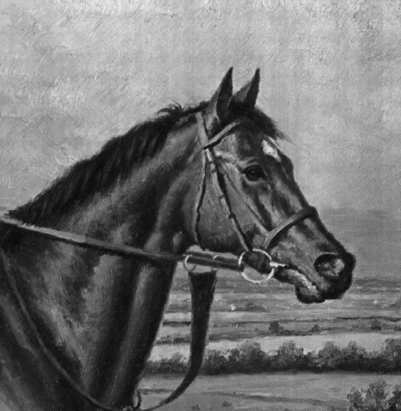 [Animal Art] Domestic Horse (Equus caballus) {!--말-->; DISPLAY FULL IMAGE.