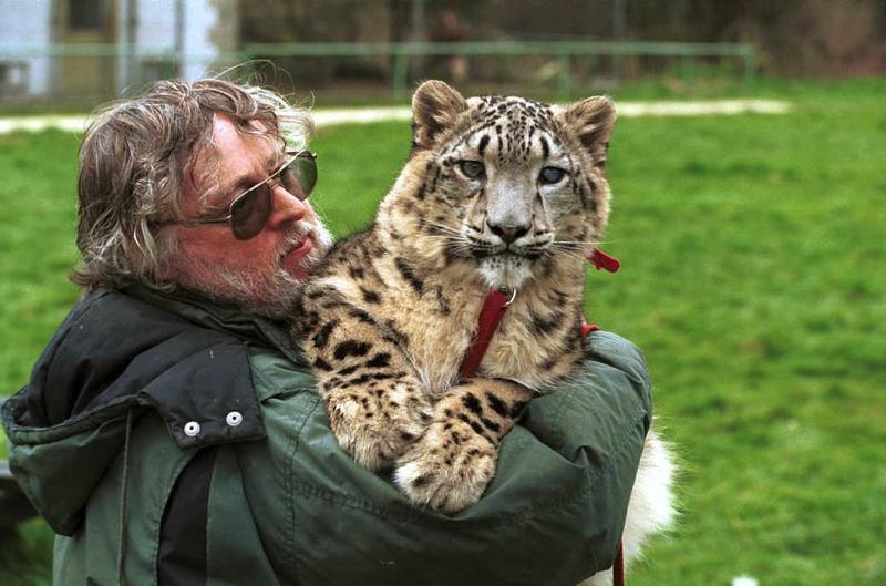 Snow Leopard (Uncia uncia) {!--설표-->; DISPLAY FULL IMAGE.