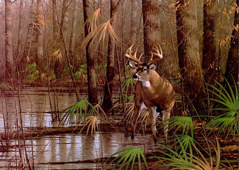 Deer {!--사슴-->; DISPLAY FULL IMAGE.