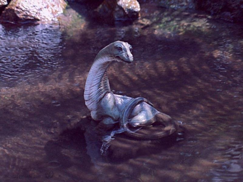 Baby Dinosaur {!--공룡-->; DISPLAY FULL IMAGE.