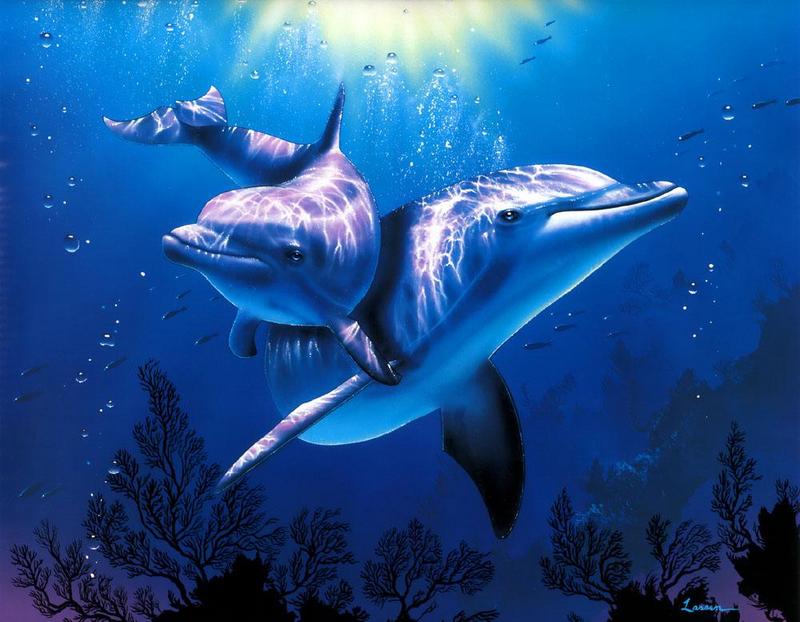[Animal Art] Dolphins {!--돌고래-->; DISPLAY FULL IMAGE.