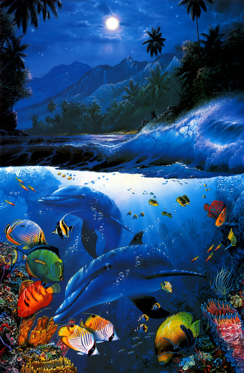 [Animal Art] Dolphins {!--돌고래-->; DISPLAY FULL IMAGE.