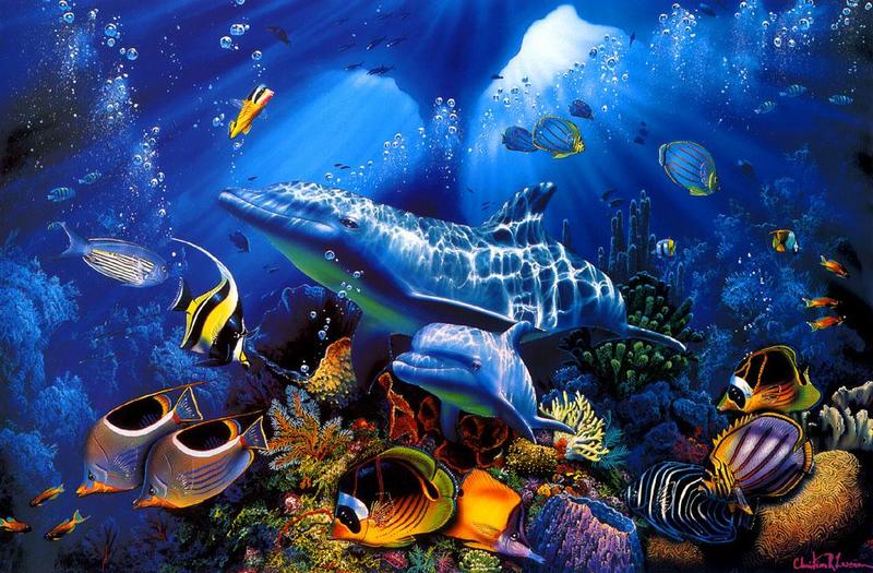 [Animal Art] Dolphins {!--돌고래-->; DISPLAY FULL IMAGE.