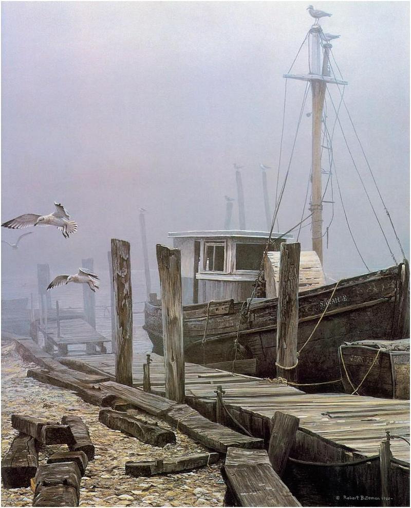 [Animal Art - Robert Bateman] Gulls {!--갈매기종류-->; DISPLAY FULL IMAGE.