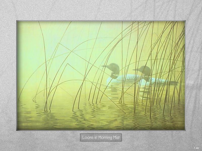 [Animal Art - Robert Bateman] Common Loon pair (Gavia immer) {!--큰아비-->; DISPLAY FULL IMAGE.