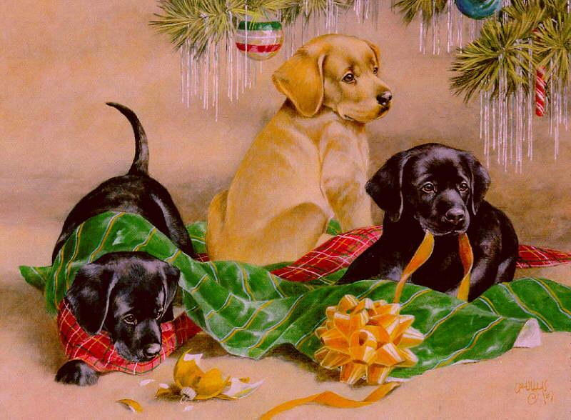 [Animal Art] Dogs - Labrador Retriever puppies (Canis lupus familiaris) {!--개, 래브라도 리트리버-->; DISPLAY FULL IMAGE.