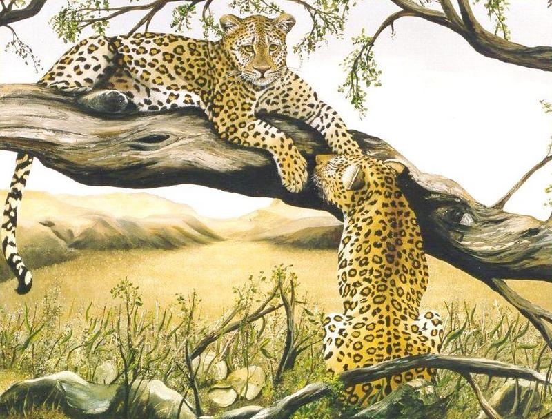 [Animal Art] African Leopards (Panthera pardus) {!--아프리카표범-->; DISPLAY FULL IMAGE.