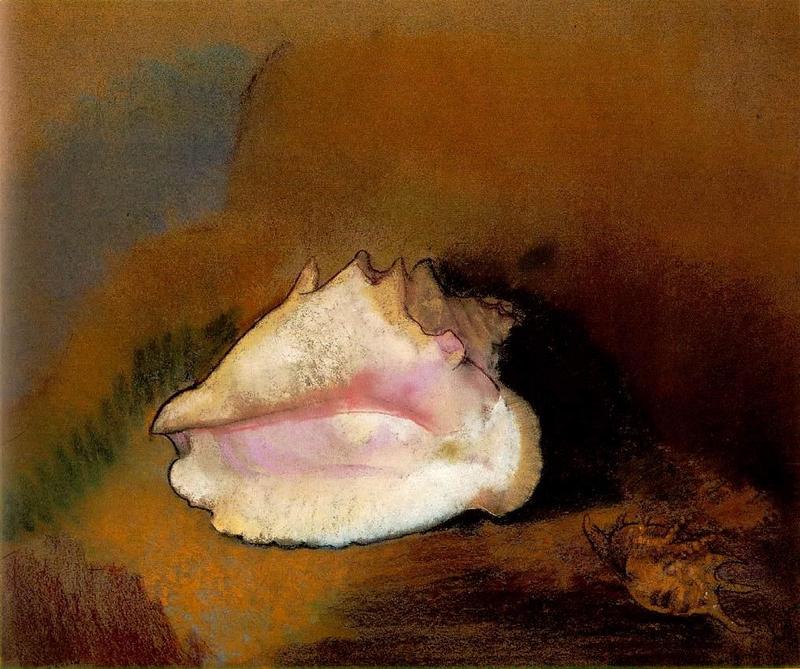 Sea Shell {!--조개껍질-->; DISPLAY FULL IMAGE.