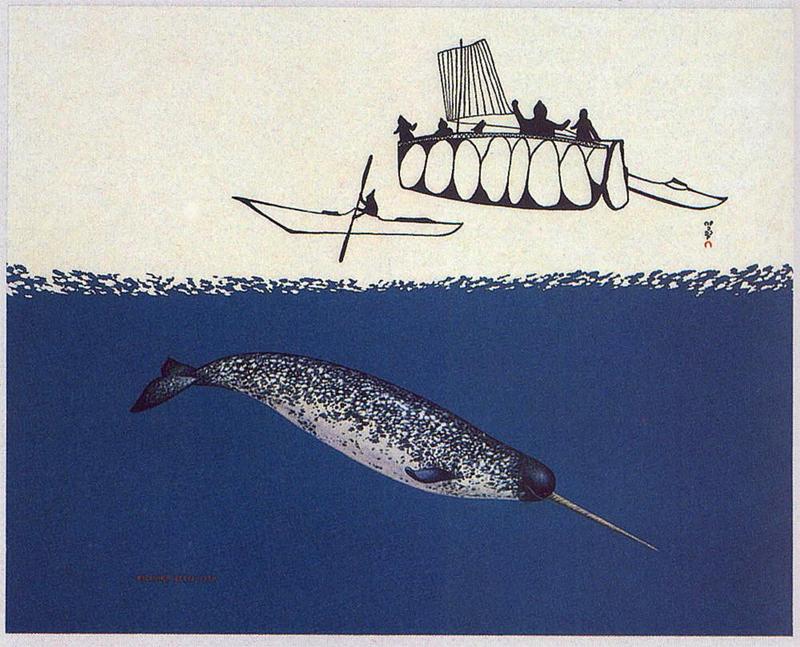 [Animal Art - Richard Ellis] Narwhal (Monodon monoceros) {!--일각고래-->; DISPLAY FULL IMAGE.