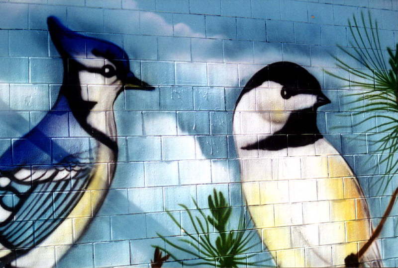 [Animal Art] Blue Jay (Cyanocitta cristata) {!--아메리카어치(파랑어치,푸른어치)-->; DISPLAY FULL IMAGE.