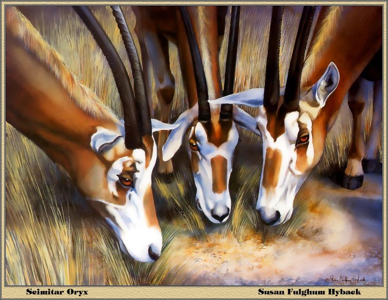 [Animal Art - Susan Fulghum Hyback] Scimitar-horned Oryx herd (Oryx dammah) {!--굽은뿔오릭스-->; DISPLAY FULL IMAGE.