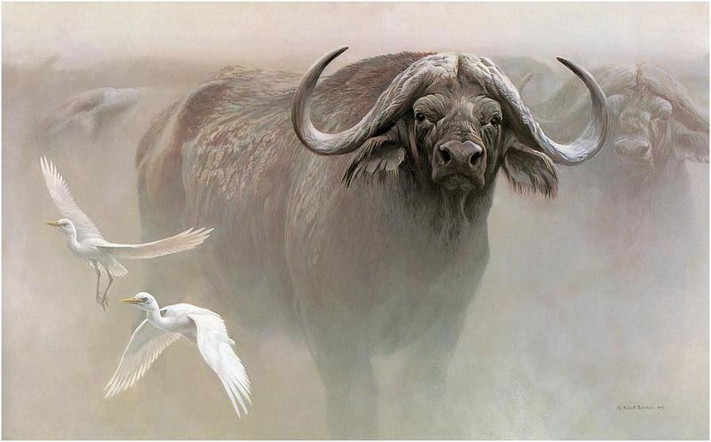 [Animal Art - Robert Bateman] Egrets (Egretta sp.) {!--백로(白鷺)-->; DISPLAY FULL IMAGE.