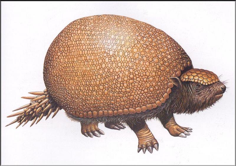 Glyptodon {!--글립토돈(옛아르마딜로)-->; DISPLAY FULL IMAGE.