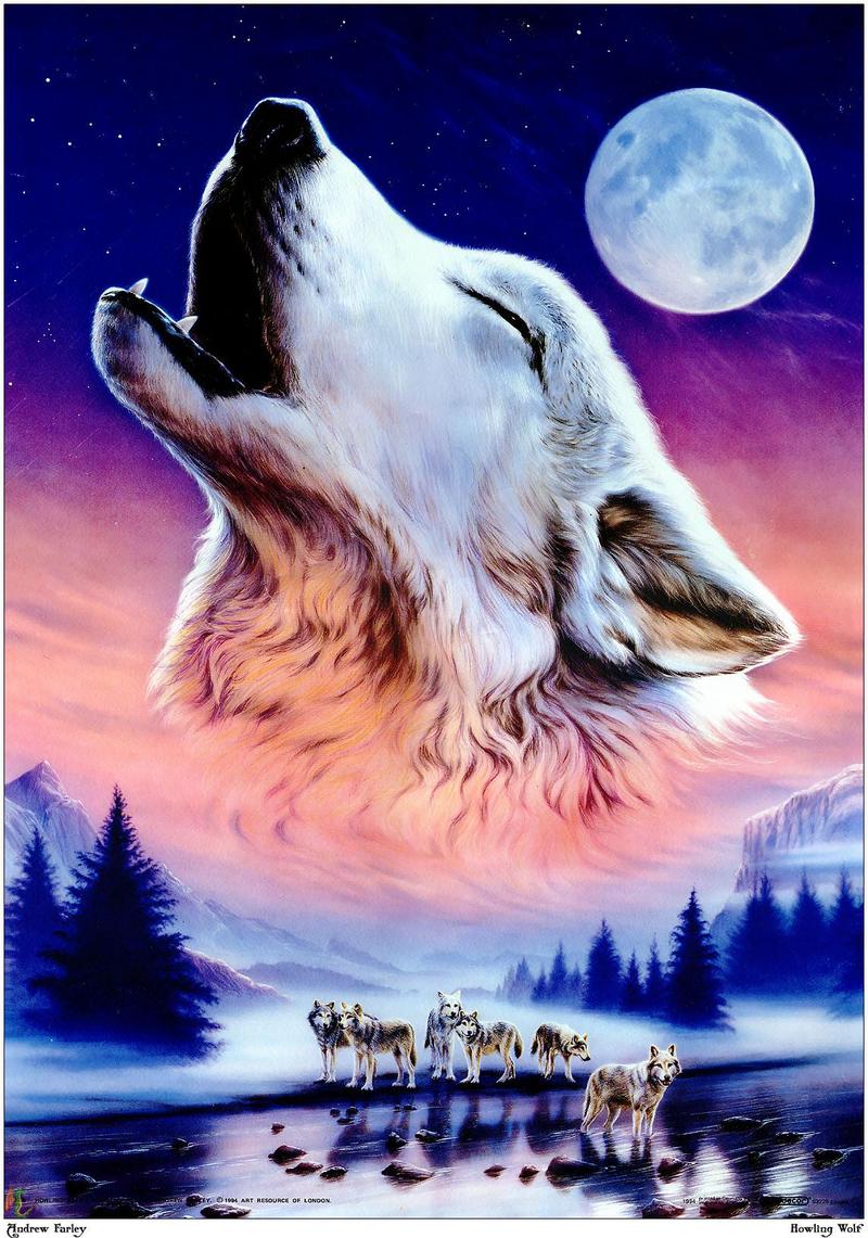[Animal Art] Andrew Farley - Arctic Wolves; DISPLAY FULL IMAGE.