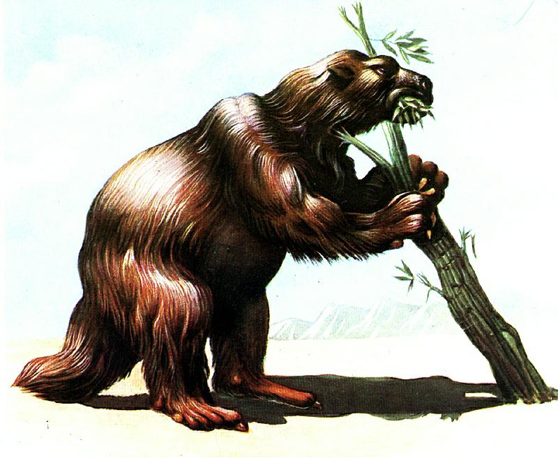 Megatherium {!--옛큰땅늘보-->; DISPLAY FULL IMAGE.