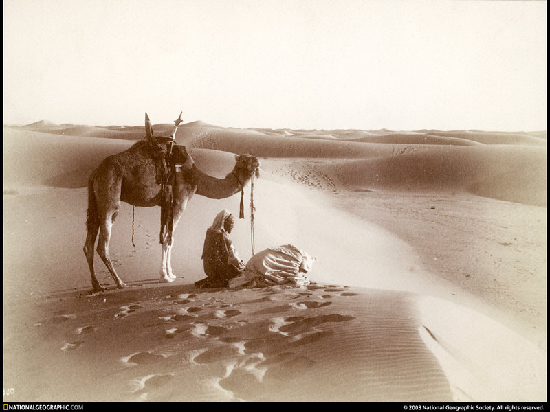 [National Geographic Wallpaper] Muslim and Camel (이슬람교도와 낙타); DISPLAY FULL IMAGE.