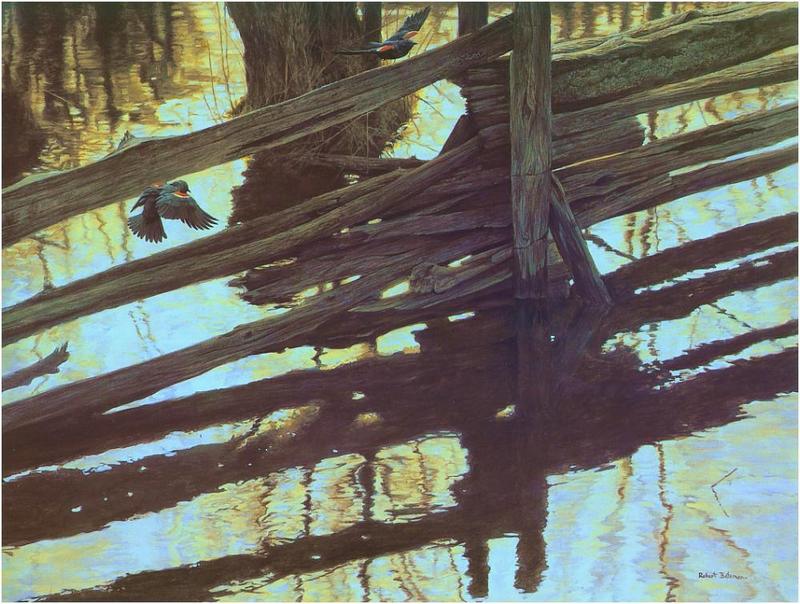 [Animal Art - Robert Bateman] Red-winged Blackbird (Agelaius phoeniceus) {!--붉은어깨찌르레기사촌-->; DISPLAY FULL IMAGE.