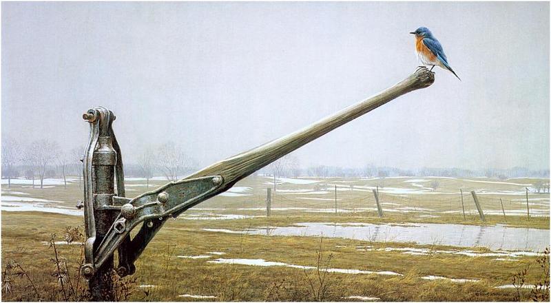 [Animal Art - Robert Bateman] Bluebird (Sialia sp.) {!--파랑지빠귀(북미)-->; DISPLAY FULL IMAGE.