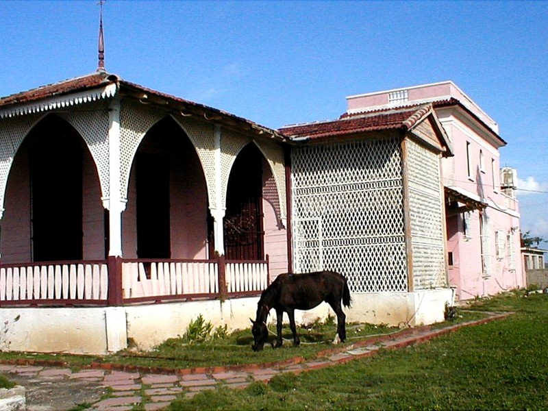[DOT CD02] Cuba - Cienfuegos School - Horse; DISPLAY FULL IMAGE.