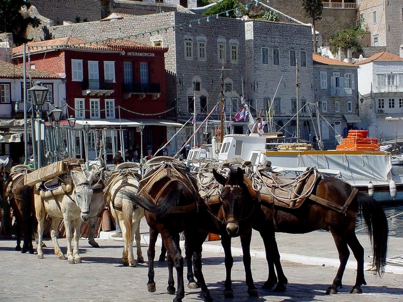 [DOT CD04] Greece - Saronic Gulf - Hydra - Donkeys; DISPLAY FULL IMAGE.