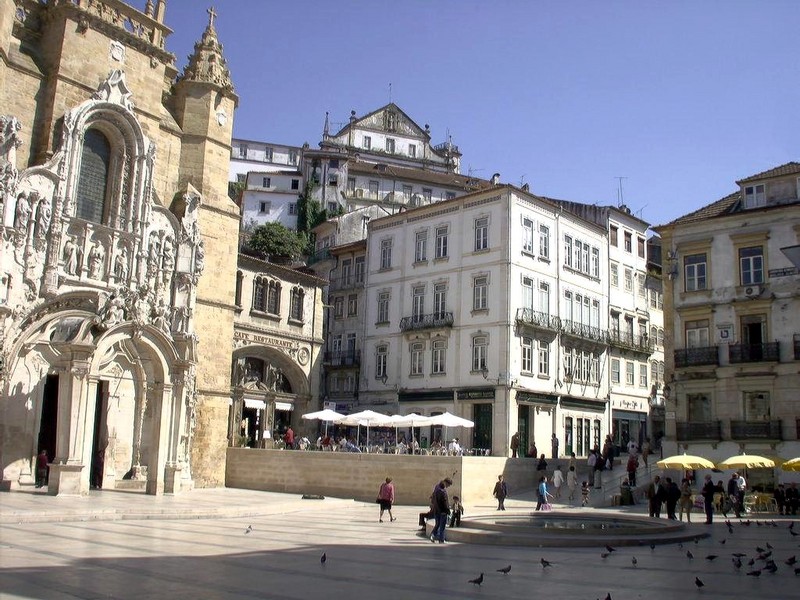 [DOT CD04] Portugal - Coimbra - Pigeons; DISPLAY FULL IMAGE.