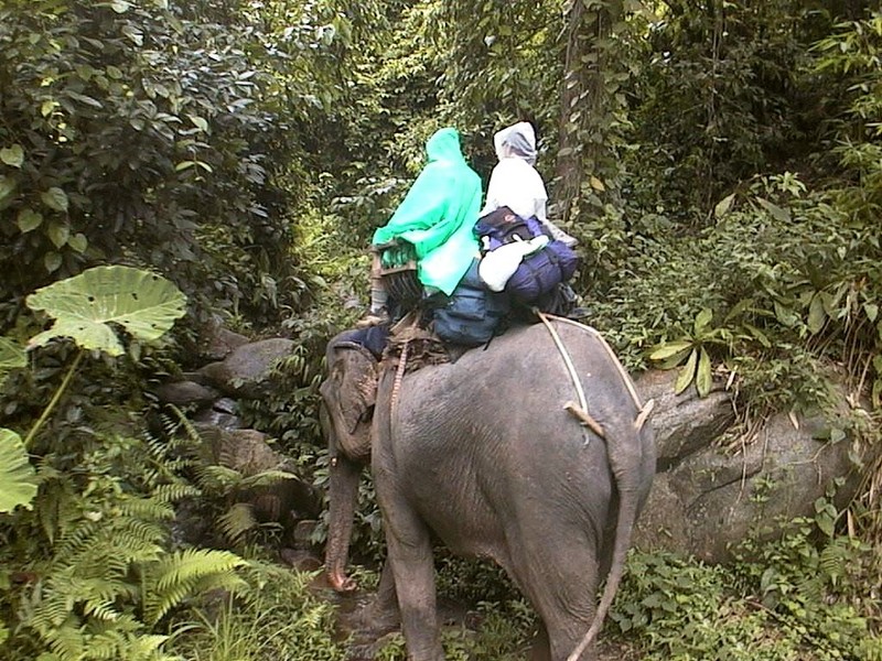 [DOT CD05] Thailand Northern Districts - Thai Elephant; DISPLAY FULL IMAGE.