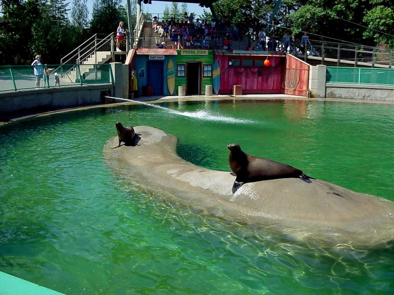 [DOT CD06] Missouri Kansas City - Sea Lions; DISPLAY FULL IMAGE.