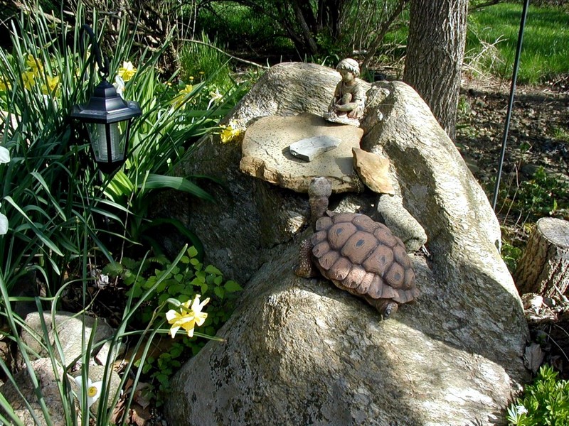 [DOT CD06] Ohio Toledo - Turtle; DISPLAY FULL IMAGE.