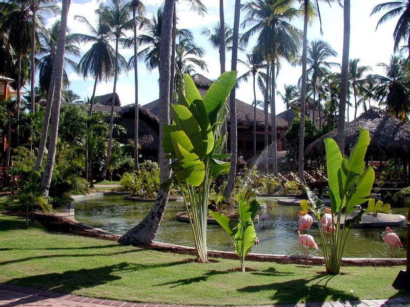 [DOT CD09] Dominican Republic, Punta Cana Resort - Flamingo; DISPLAY FULL IMAGE.
