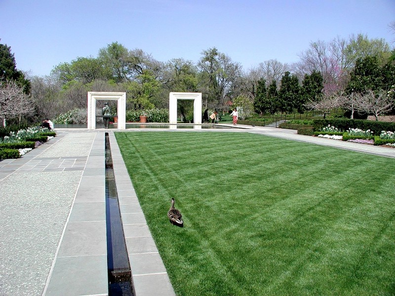 [DOT CD10] Texas Dallas Arboretum Spring - Mallard Hen; DISPLAY FULL IMAGE.