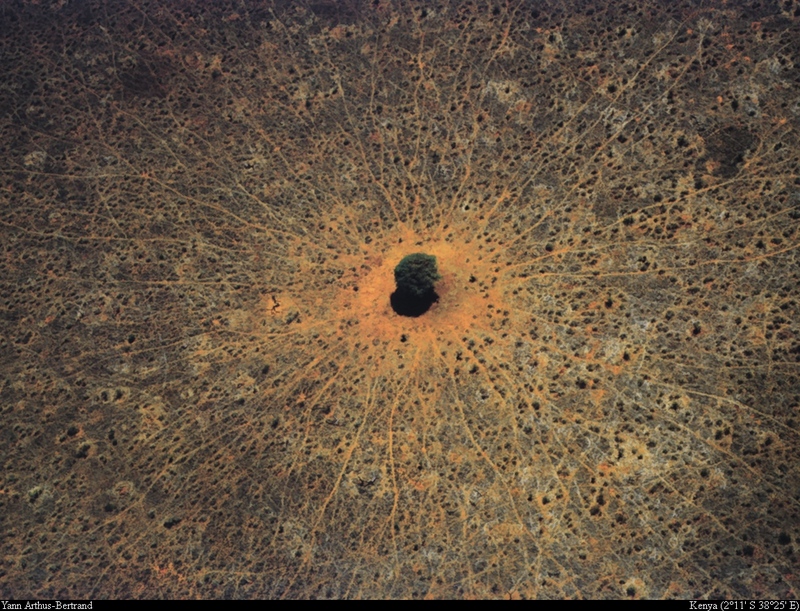 [B14 SLR: Yann Arthus-Bertrand] 