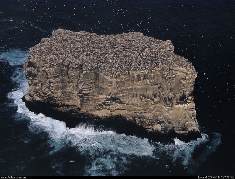 [B14 SLR: Yann Arthus-Bertrand] Bassan gannet colony; DISPLAY FULL IMAGE.