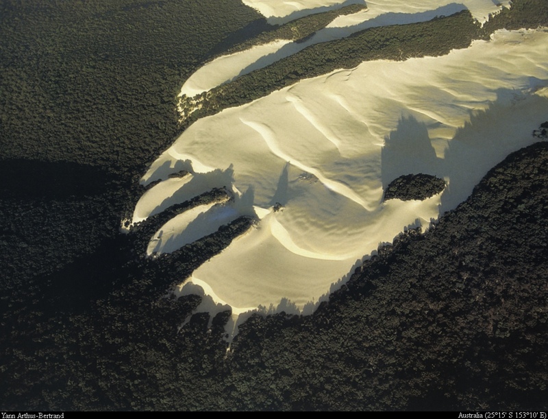 [B14 SLR: Yann Arthus-Bertrand] Sand dune surrounded by vegetation on Fraser Island; DISPLAY FULL IMAGE.