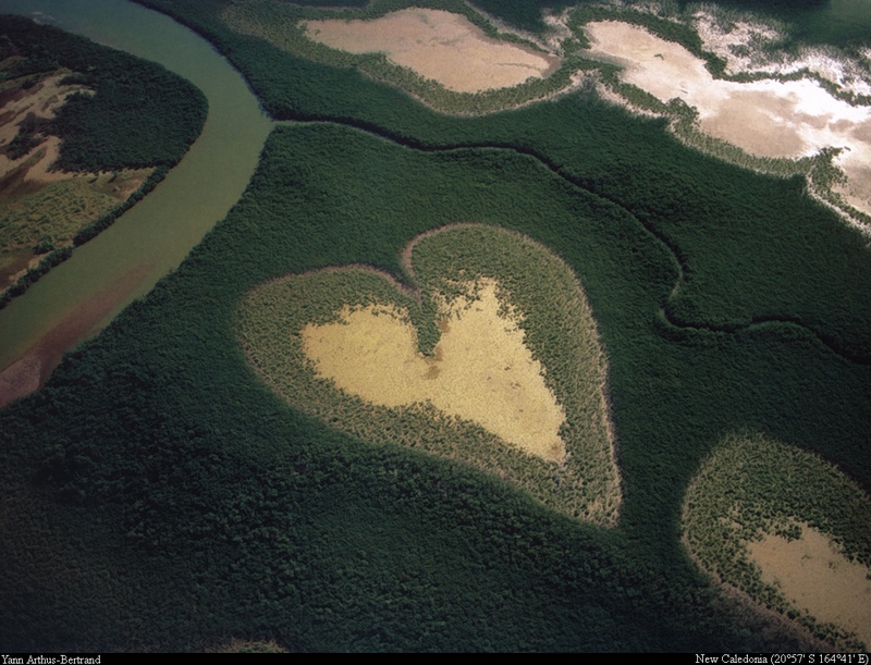 [B14 SLR: Yann Arthus-Bertrand] Coeur de Voh; DISPLAY FULL IMAGE.