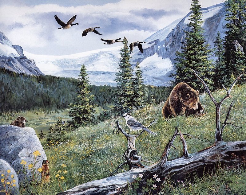 [Danielle scan] A Mountain Alphabet by Andrew Kiss - Gg; DISPLAY FULL IMAGE.