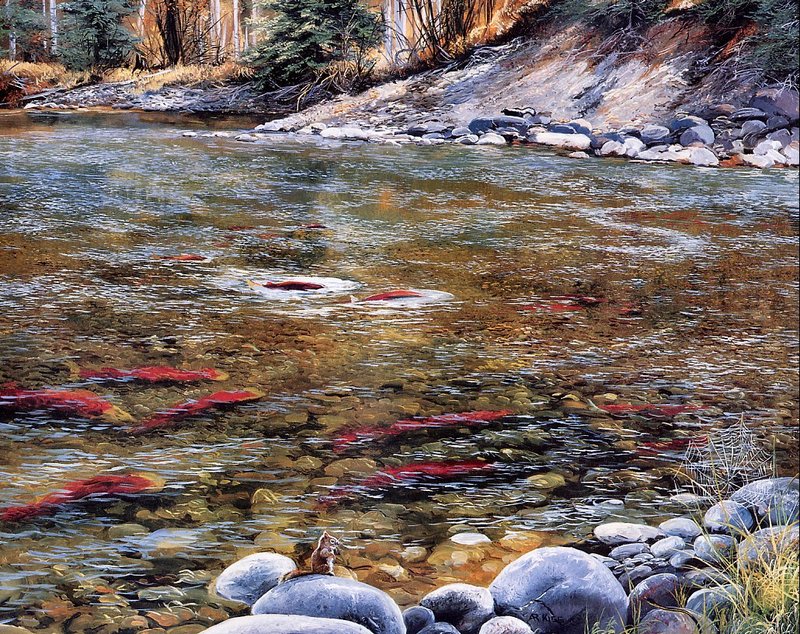 [Danielle scan] A Mountain Alphabet by Andrew Kiss - Ss; DISPLAY FULL IMAGE.