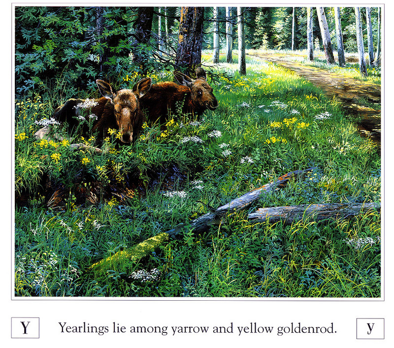 [Danielle scan] A Mountain Alphabet by Andrew Kiss - Yy; DISPLAY FULL IMAGE.