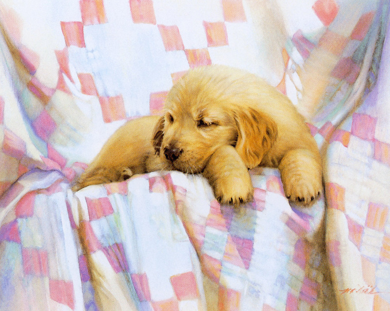 [Animal Art - Nancy Noel] Golden Puppy; DISPLAY FULL IMAGE.