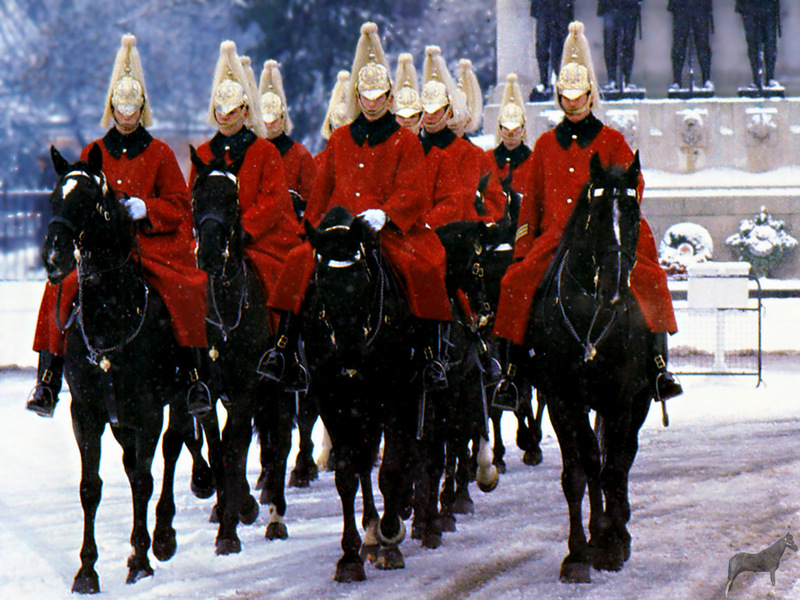 [Equus-SDC Horses] Royal Life Guards; DISPLAY FULL IMAGE.