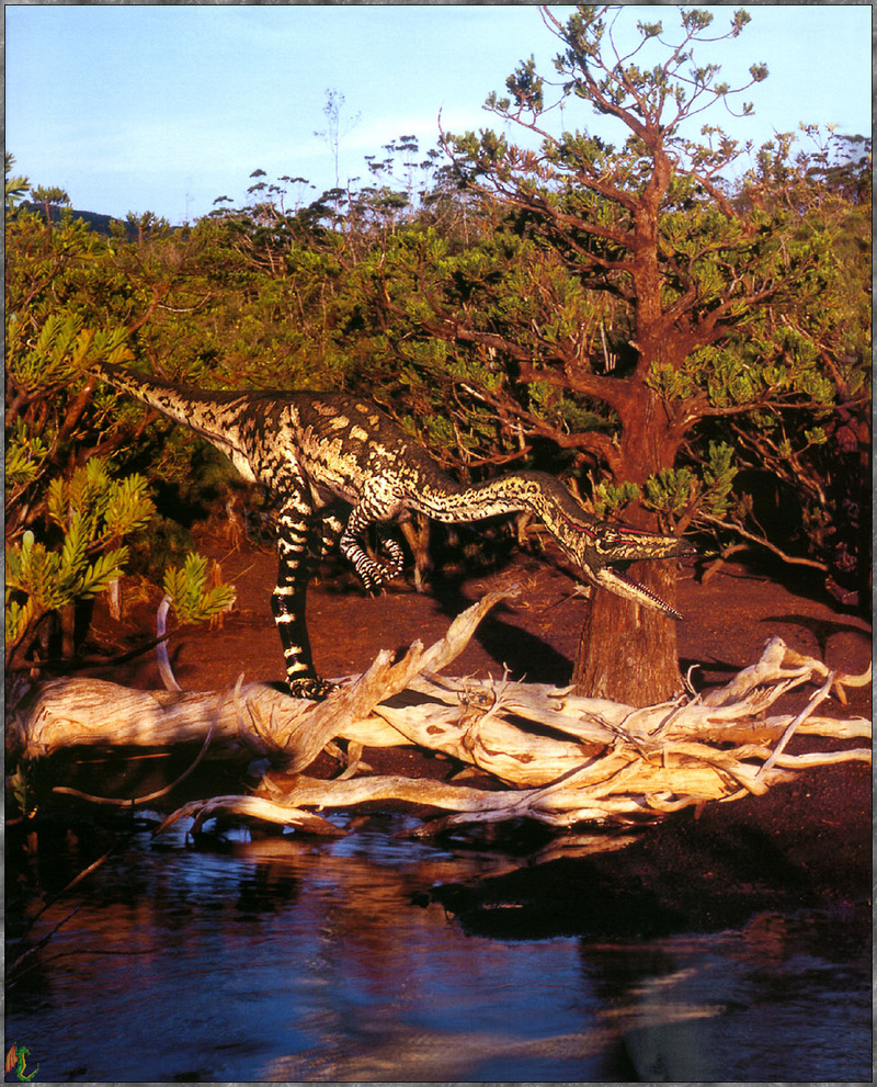 [Fafnir Scan - Walking with Dinosaurs] Coelophysis; DISPLAY FULL IMAGE.