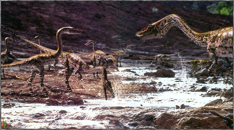 [Fafnir Scan - Walking with Dinosaurs] Coelophysis; DISPLAY FULL IMAGE.