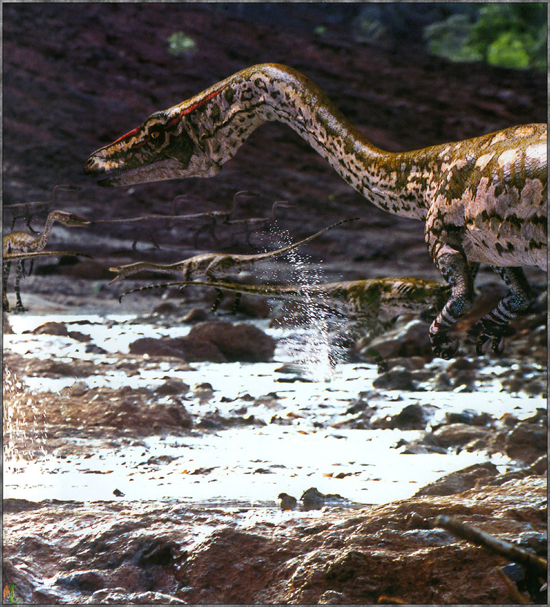 [Fafnir Scan - Walking with Dinosaurs] Coelophysis; DISPLAY FULL IMAGE.