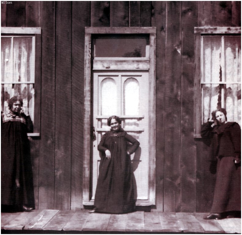 [WillyStoner Scans - Wildlife] Soiled Doves of the Old West; DISPLAY FULL IMAGE.