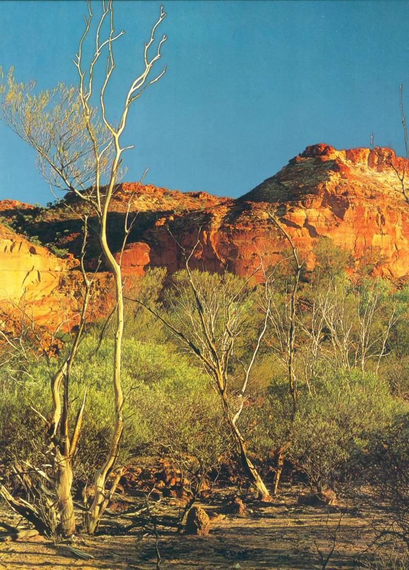 The Mulga Scrub Plains; DISPLAY FULL IMAGE.