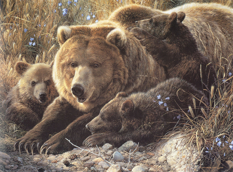 [Carl Brenders - Wildlife Paintings] Close to Mom (Brown Bears); DISPLAY FULL IMAGE.