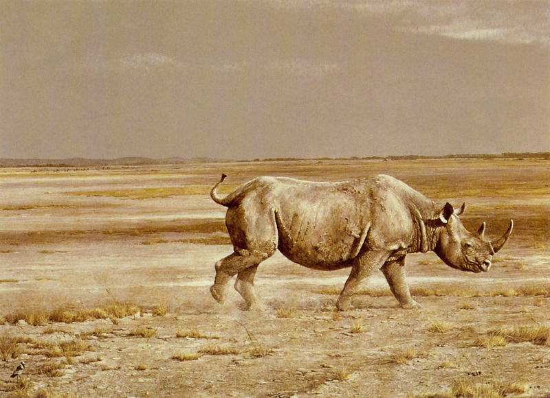 [Robert Bateman] Rhinoceros at Kilimanjaro; DISPLAY FULL IMAGE.