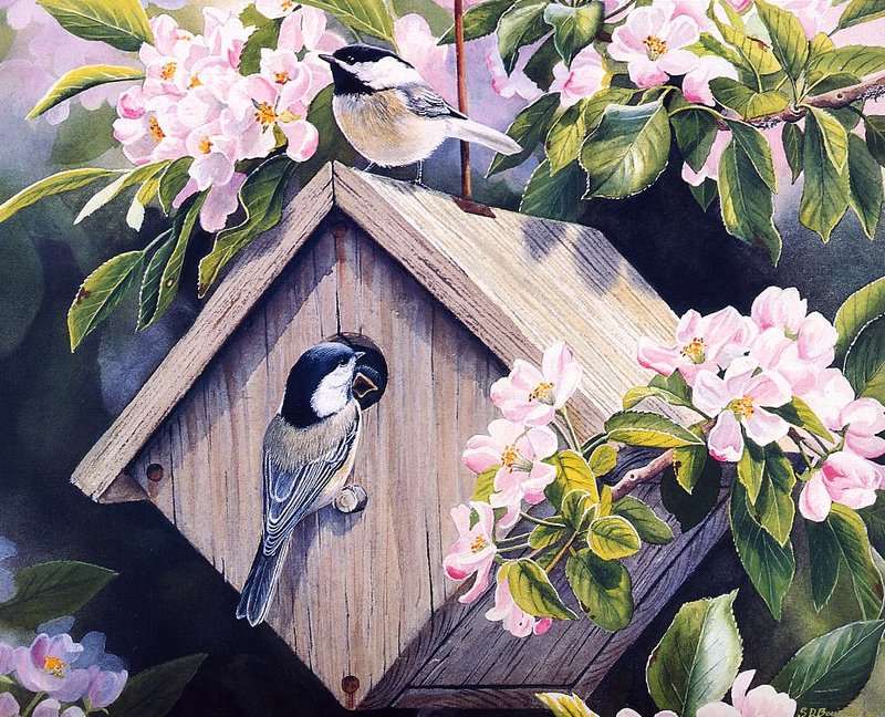 [EndLiss scans - Wildlife Art] Susan Bourdet - Appletree Apartment (Chickadees); DISPLAY FULL IMAGE.