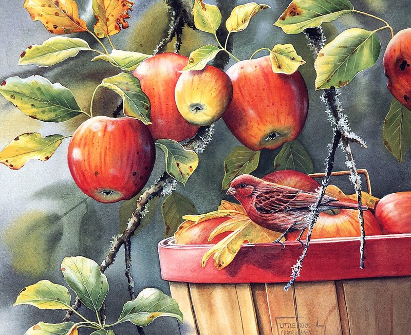 [EndLiss scans - Wildlife Art] Susan Bourdet - Fall Apple Harvest - Purple Finch; DISPLAY FULL IMAGE.