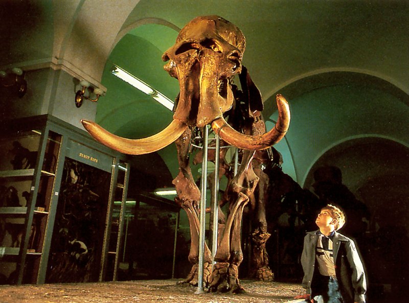 [achAT-scans] Myth Mammoth(1993); DISPLAY FULL IMAGE.