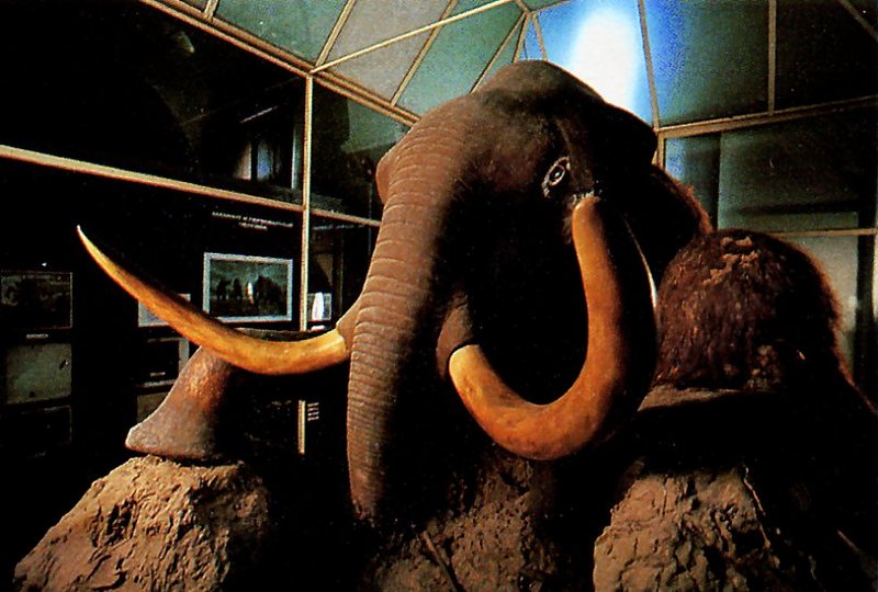 [achAT-scans] Myth Mammoth(1993); DISPLAY FULL IMAGE.